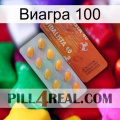 Виагра 100 43